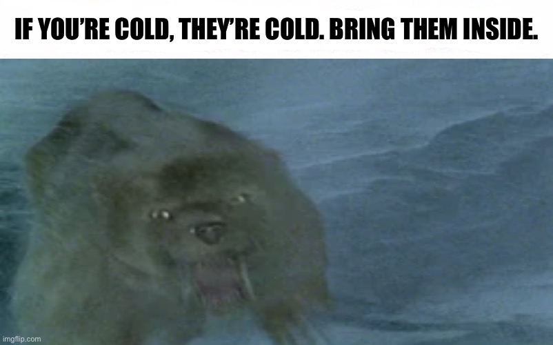 Who Would Win Blank | IF YOU’RE COLD, THEY’RE COLD. BRING THEM INSIDE. | image tagged in who would win blank,memes,humor,shitpost,lol,funny memes | made w/ Imgflip meme maker