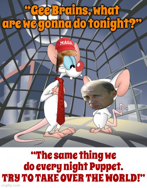 Putin Is The Brains.  Trump Is The Puppet | “Gee Brains, what are we gonna do tonight?”; “The same thing we do every night Puppet.
TRY TO TAKE OVER THE WORLD!” | image tagged in pinky and the brain,trump unfit unqualified dangerous,pure evil,malignant narcissism,memes,putin is a tyrant | made w/ Imgflip meme maker