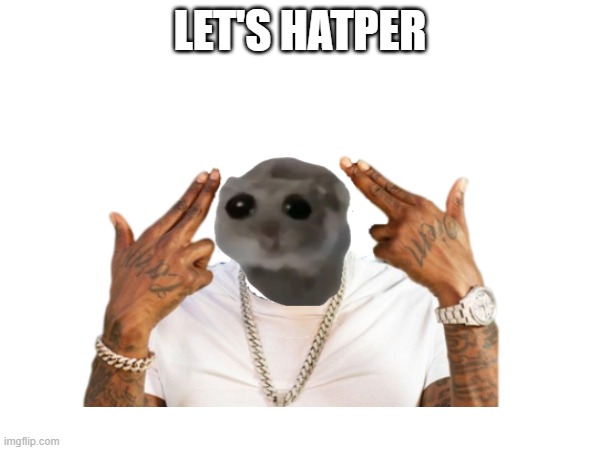 LET'S HATPER | image tagged in unfunny | made w/ Imgflip meme maker