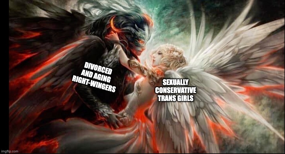 Why does this always seem to happen? | DIVORCED AND AGING RIGHT-WINGERS; SEXUALLY CONSERVATIVE TRANS GIRLS | image tagged in angel,demon,romantic,trans,transsexual,right wing | made w/ Imgflip meme maker