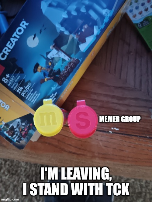 He is a good person | I'M LEAVING, I STAND WITH TCK | image tagged in thebest66 msmg | made w/ Imgflip meme maker
