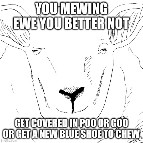 Ew this ewe is poo | YOU MEWING EWE YOU BETTER NOT; GET COVERED IN POO OR GOO OR GET A NEW BLUE SHOE TO CHEW | image tagged in mewing ewe | made w/ Imgflip meme maker