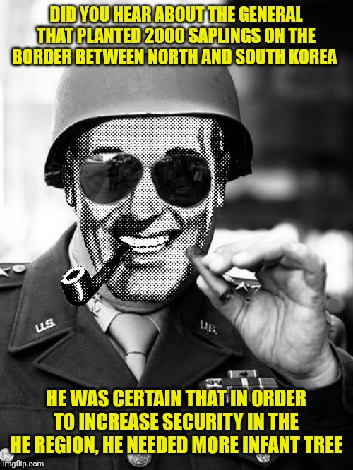 General Strangmeme | DID YOU HEAR ABOUT THE GENERAL THAT PLANTED 2000 SAPLINGS ON THE BORDER BETWEEN NORTH AND SOUTH KOREA; HE WAS CERTAIN THAT IN ORDER TO INCREASE SECURITY IN THE HE REGION, HE NEEDED MORE INFANT TREE | image tagged in general strangmeme | made w/ Imgflip meme maker