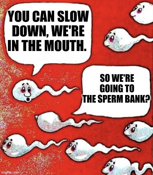 Sperm talk | YOU CAN SLOW DOWN, WE'RE IN THE MOUTH. SO WE'RE GOING TO THE SPERM BANK? | image tagged in sperm talk | made w/ Imgflip meme maker