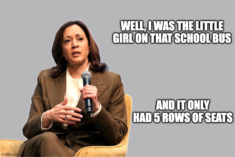 The Whole Story | WELL, I WAS THE LITTLE GIRL ON THAT SCHOOL BUS; AND IT ONLY HAD 5 ROWS OF SEATS | image tagged in kamala,school bus,short bus | made w/ Imgflip meme maker