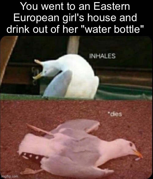 I drank too much | You went to an Eastern European girl's house and drink out of her "water bottle" | image tagged in inhales dies bird | made w/ Imgflip meme maker