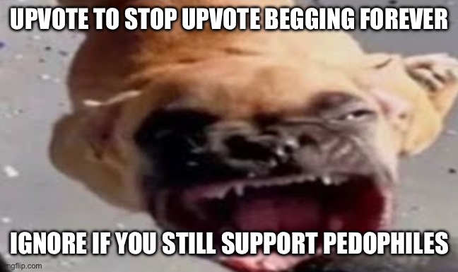 upvote to stop it!!!1! | UPVOTE TO STOP UPVOTE BEGGING FOREVER; IGNORE IF YOU STILL SUPPORT PEDOPHILES | image tagged in upvote if you agree,upvote begging,upvotes,upvote beggars,begging for upvotes | made w/ Imgflip meme maker