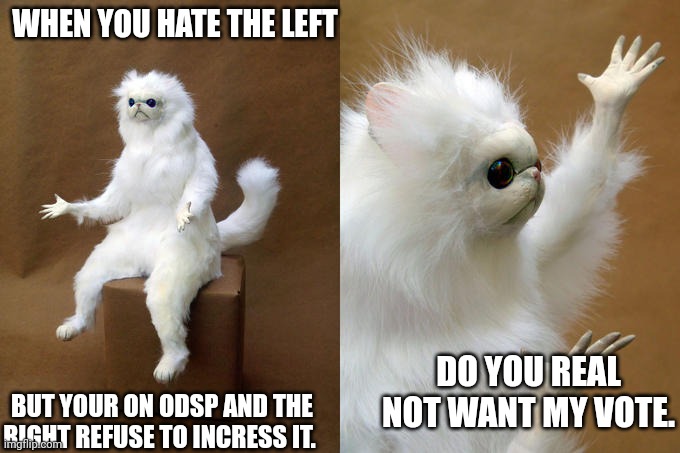 It's a night mare in Canada. | WHEN YOU HATE THE LEFT; DO YOU REAL NOT WANT MY VOTE. BUT YOUR ON ODSP AND THE RIGHT REFUSE TO INCRESS IT. | image tagged in memes,persian cat room guardian | made w/ Imgflip meme maker