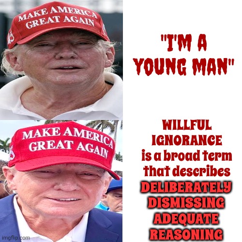 Trump Will Be 78 Years Old In Two Months | "I'm a young man"; WILLFUL IGNORANCE
is a broad term that describes; DELIBERATELY DISMISSING ADEQUATE REASONING | image tagged in memes,drake hotline bling,trump is old,trump unfit unqualified dangerous,lock him up,trump is methusela | made w/ Imgflip meme maker