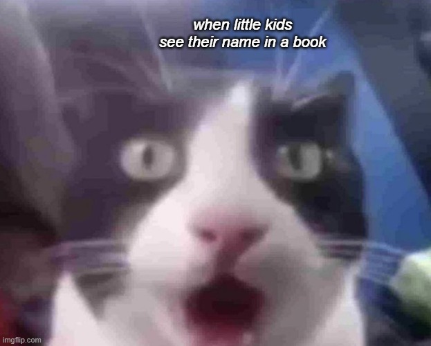 shocked name_kitty | when little kids see their name in a book | image tagged in cat,name,little kids,books,shocked,meme | made w/ Imgflip meme maker