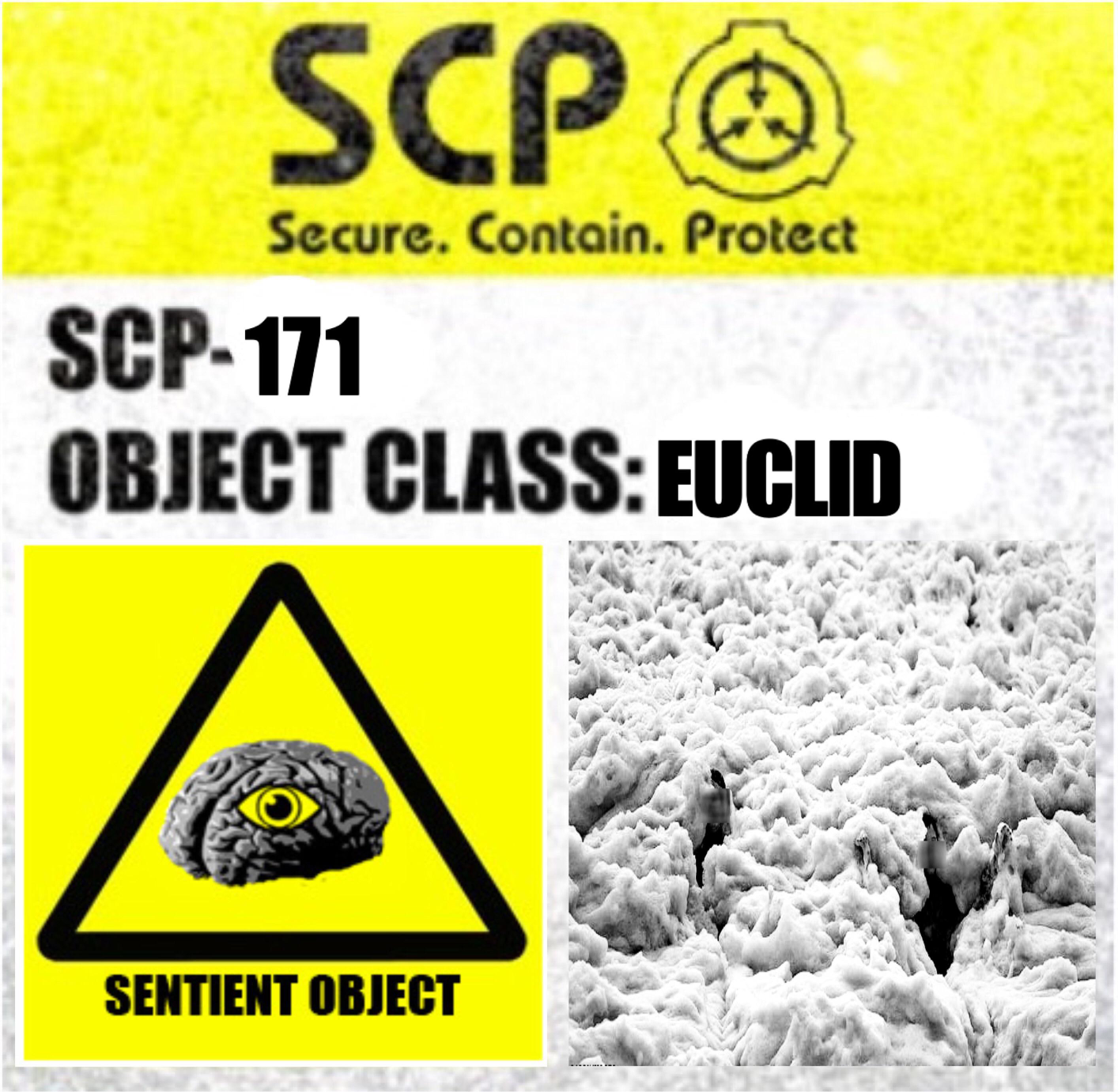 SCP-171 Label Blank Meme Template