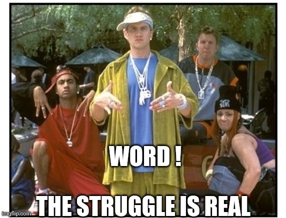 Malibu most wanted | WORD ! THE STRUGGLE IS REAL | image tagged in malibu most wanted | made w/ Imgflip meme maker