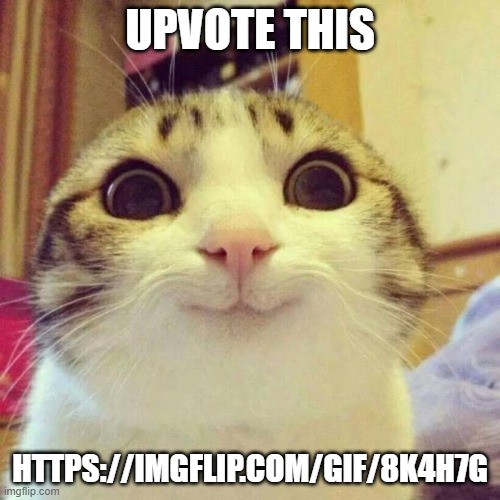 Smiling Cat | UPVOTE THIS; HTTPS://IMGFLIP.COM/GIF/8K4H7G | image tagged in memes,smiling cat | made w/ Imgflip meme maker