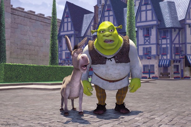 Shrek and Donkey Shocked | image tagged in shrek and donkey shocked | made w/ Imgflip meme maker