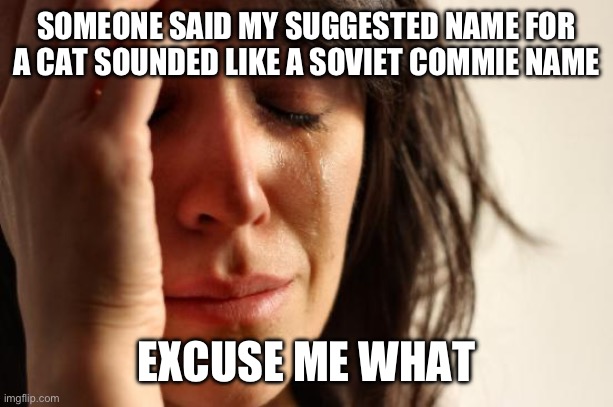 First World Problems | SOMEONE SAID MY SUGGESTED NAME FOR A CAT SOUNDED LIKE A SOVIET COMMIE NAME; EXCUSE ME WHAT | image tagged in memes,first world problems | made w/ Imgflip meme maker