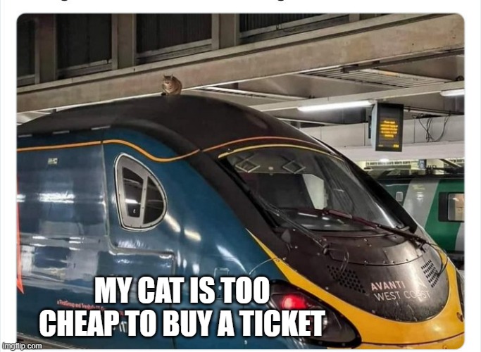 memes by Brad cat on train roof | MY CAT IS TOO CHEAP TO BUY A TICKET | image tagged in cats,funny,funny cat memes,train,humor,funny cat | made w/ Imgflip meme maker