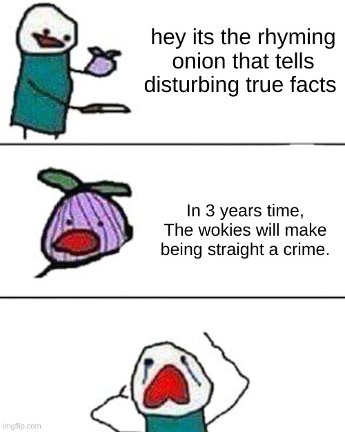 Future L | hey its the rhyming onion that tells disturbing true facts; In 3 years time,
The wokies will make being straight a crime. | image tagged in this onion won't make me cry,funny,memes,sad but true,woke people are dumb | made w/ Imgflip meme maker