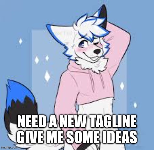 Femboy furry | NEED A NEW TAGLINE GIVE ME SOME IDEAS | image tagged in femboy furry | made w/ Imgflip meme maker