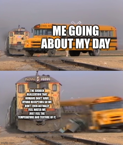 A train hitting a school bus | ME GOING ABOUT MY DAY; THE SUDDEN REALIZATION THAT HUMANS DON'T HAVE HYDRO RECEPTORS SO WE DON'T EVER ACTUALLY FEEL WATER WE JUST FEEL THE TEMPERATURE AND TEXTURE OF IT. | image tagged in a train hitting a school bus | made w/ Imgflip meme maker