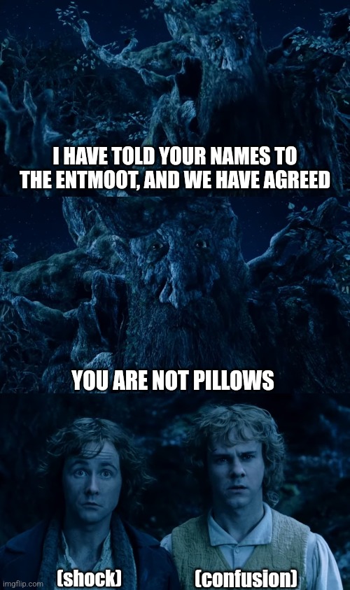 Well that's good news | I HAVE TOLD YOUR NAMES TO THE ENTMOOT, AND WE HAVE AGREED; YOU ARE NOT PILLOWS; (shock); (confusion) | image tagged in lotr,hobbits,pillow,entmoot,original meme,shocked face | made w/ Imgflip meme maker