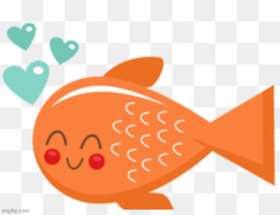 Cute fish | image tagged in cute fish | made w/ Imgflip meme maker