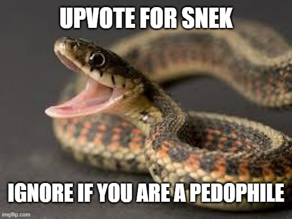 let's make the fun stream mad | UPVOTE FOR SNEK; IGNORE IF YOU ARE A PEDOPHILE | image tagged in warning snake | made w/ Imgflip meme maker