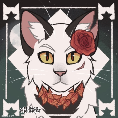 I did this picrew as a tribute to my cat, I miss him(mod Note: :Sadchamp: ) | made w/ Imgflip meme maker