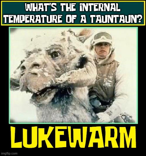 Little Known Star Wars Facts that should be forgotten | WHAT'S THE INTERNAL TEMPERATURE OF A TAUNTAUN? LUKEWARM | image tagged in vince vance,star wars,luke skywalker,tauntaun,memes,snowstorm | made w/ Imgflip meme maker