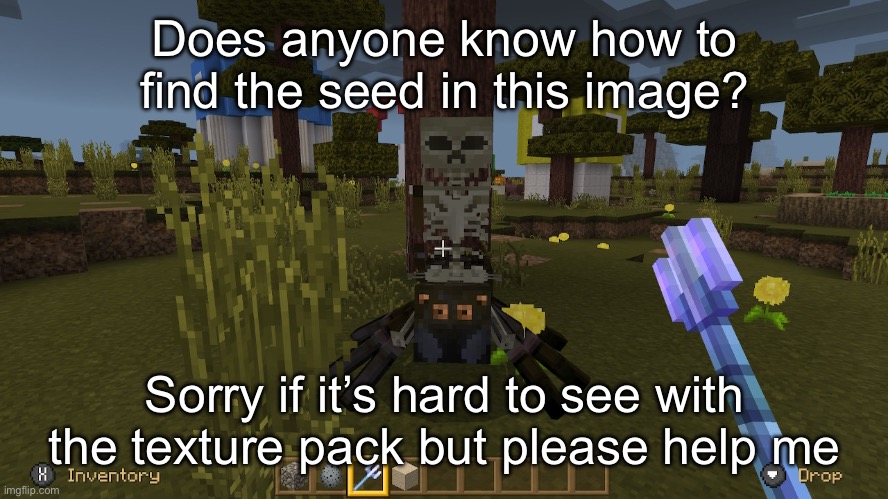 Find the seed of the world, please help me out here | Does anyone know how to find the seed in this image? Sorry if it’s hard to see with the texture pack but please help me | image tagged in minecraft | made w/ Imgflip meme maker