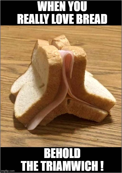 A Tasty Snack ! | WHEN YOU REALLY LOVE BREAD; BEHOLD
THE TRIAMWICH ! | image tagged in tasty,snack,sandwich | made w/ Imgflip meme maker