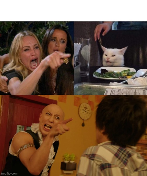 same energy | image tagged in memes,woman yelling at cat | made w/ Imgflip meme maker