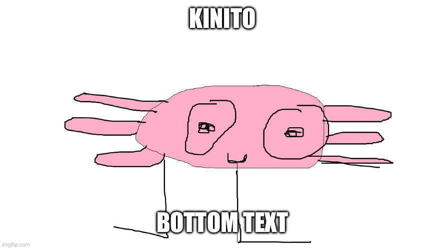 kinito | KINITO BOTTOM TEXT | image tagged in kinito | made w/ Imgflip meme maker