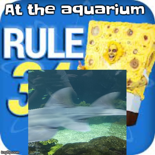 Yuh | At the aquarium | image tagged in spob | made w/ Imgflip meme maker