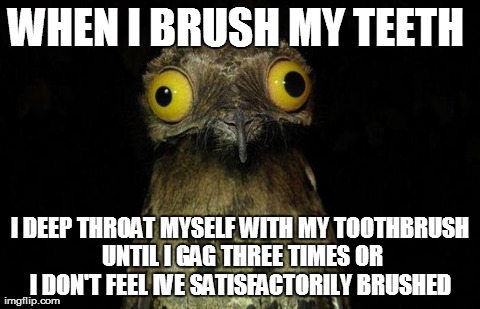 Weird Stuff I Do Potoo Meme | WHEN I BRUSH MY TEETH  I DEEP THROAT MYSELF WITH MY TOOTHBRUSH UNTIL I GAG THREE TIMES OR I DON'T FEEL IVE SATISFACTORILY BRUSHED | image tagged in memes,weird stuff i do potoo,AdviceAnimals | made w/ Imgflip meme maker