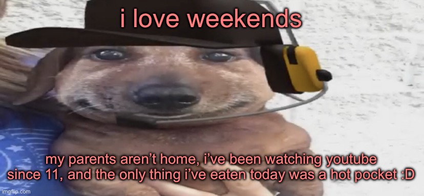 chucklenuts | i love weekends; my parents aren’t home, i’ve been watching youtube since 11, and the only thing i’ve eaten today was a hot pocket :D | image tagged in chucklenuts | made w/ Imgflip meme maker