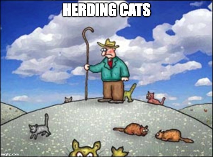 Herding Cats | HERDING CATS | image tagged in herding cats | made w/ Imgflip meme maker