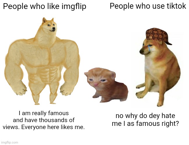 my sister made this. what. | People who like imgflip; People who use tiktok; I am really famous and have thousands of views. Everyone here likes me. no why do dey hate me I as famous right? | image tagged in memes,buff doge vs cheems,tiktok,imgflip,funny,lol | made w/ Imgflip meme maker