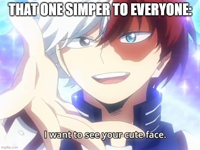 Todoroki I want to see your cute face | THAT ONE SIMPER TO EVERYONE: | image tagged in todoroki i want to see your cute face | made w/ Imgflip meme maker
