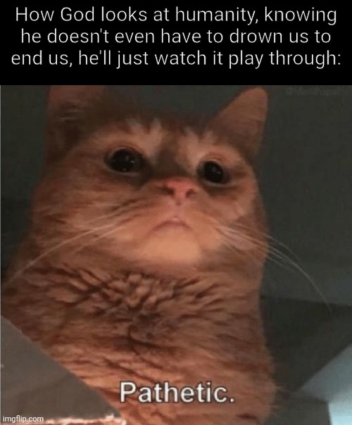 Ruh roh | How God looks at humanity, knowing he doesn't even have to drown us to end us, he'll just watch it play through: | image tagged in pathetic cat | made w/ Imgflip meme maker
