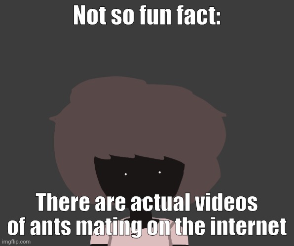 Qhar ben | Not so fun fact:; There are actual videos of ants mating on the internet | image tagged in qhar ben | made w/ Imgflip meme maker