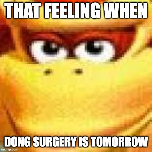 Expand Dong | THAT FEELING WHEN; DONG SURGERY IS TOMORROW | image tagged in expand dong | made w/ Imgflip meme maker