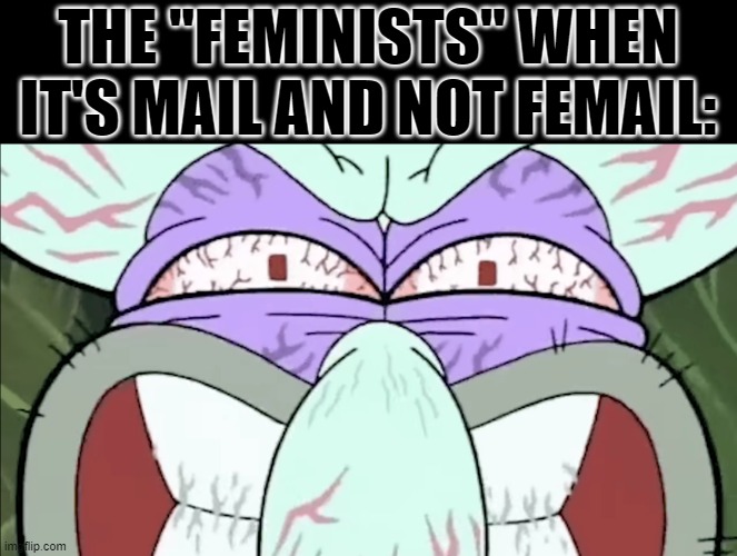 Typical Twitter "Feminist" | THE "FEMINISTS" WHEN IT'S MAIL AND NOT FEMAIL: | image tagged in rageful squidward | made w/ Imgflip meme maker