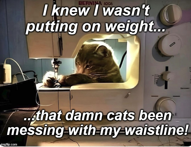 I knew I wasn't putting on weight... ...that damn cats been messing with my waistline! | image tagged in cats,dieting | made w/ Imgflip meme maker
