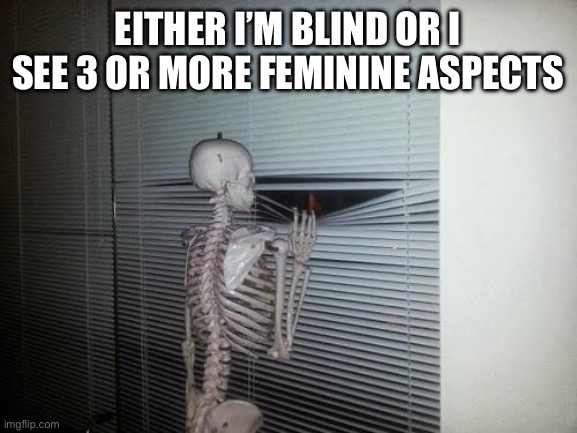 Skeleton Looking Out Window | EITHER I’M BLIND OR I SEE 3 OR MORE FEMININE ASPECTS | image tagged in skeleton looking out window | made w/ Imgflip meme maker