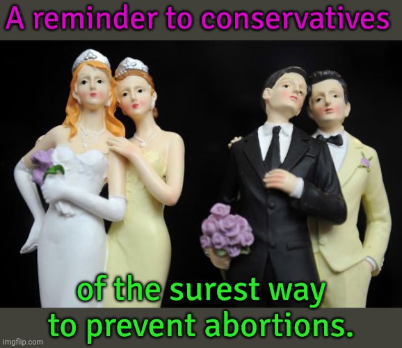 Isn't it obvious? | A reminder to conservatives; of the surest way to prevent abortions. | image tagged in homosexual lesbian gay,lgbt,pro-life,modern problems require modern solutions | made w/ Imgflip meme maker