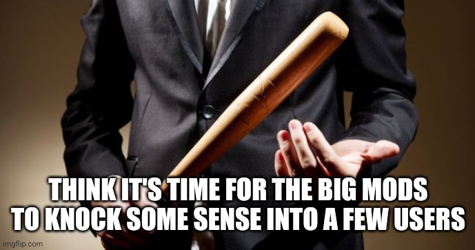 baseball bat | THINK IT'S TIME FOR THE BIG MODS TO KNOCK SOME SENSE INTO A FEW USERS | image tagged in baseball bat,punishment | made w/ Imgflip meme maker