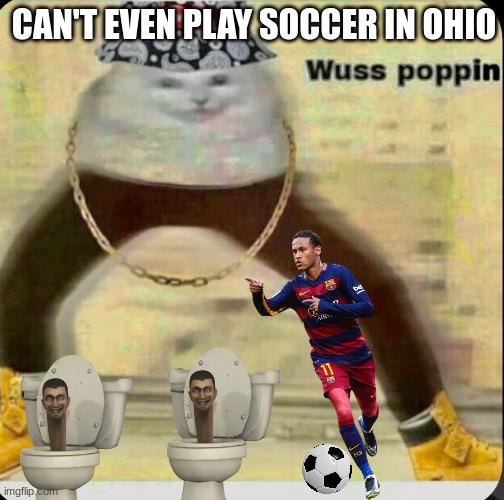 only in ohio | CAN'T EVEN PLAY SOCCER IN OHIO | image tagged in the kitty drip | made w/ Imgflip meme maker