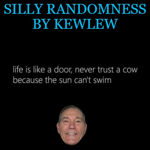 silly randomness | SILLY RANDOMNESS
BY KEWLEW | image tagged in random humor,kewlew,kewlew the most handsome man on earth | made w/ Imgflip meme maker