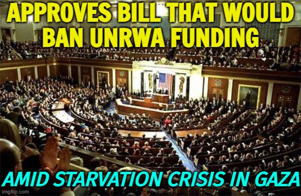 'Moral Failure': US House Approves Bill That Would Ban UNRWA Funding | APPROVES BILL THAT WOULD
BAN UNRWA FUNDING; AMID STARVATION CRISIS IN GAZA | image tagged in congress,us government,palestine,genocide,scumbag government,evil government | made w/ Imgflip meme maker