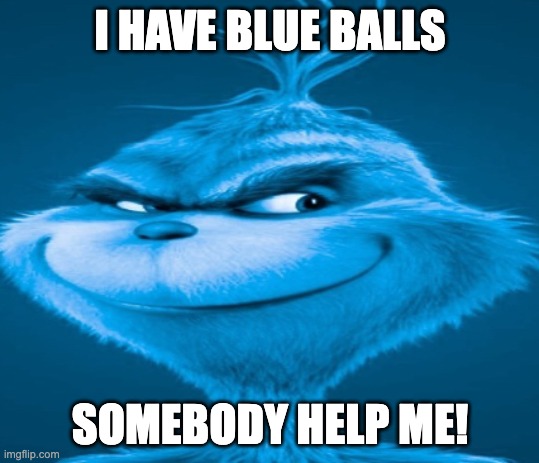 The blue grinch | I HAVE BLUE BALLS; SOMEBODY HELP ME! | image tagged in the blue grinch | made w/ Imgflip meme maker